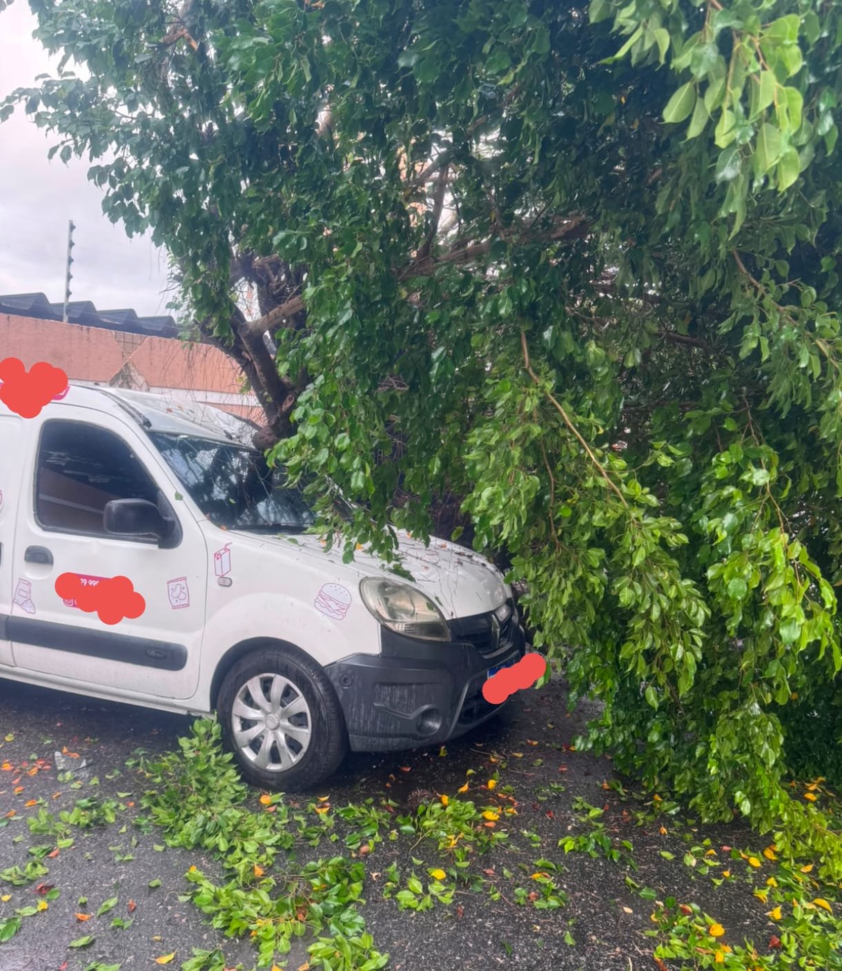 BOMBEIROS SÃO ACIONADOS APÓS QUEDA DE ÁRVORE SOBRE VEÍCULO NO BAIRRO GRAGERU; NINGUÉM FICOU FERIDO