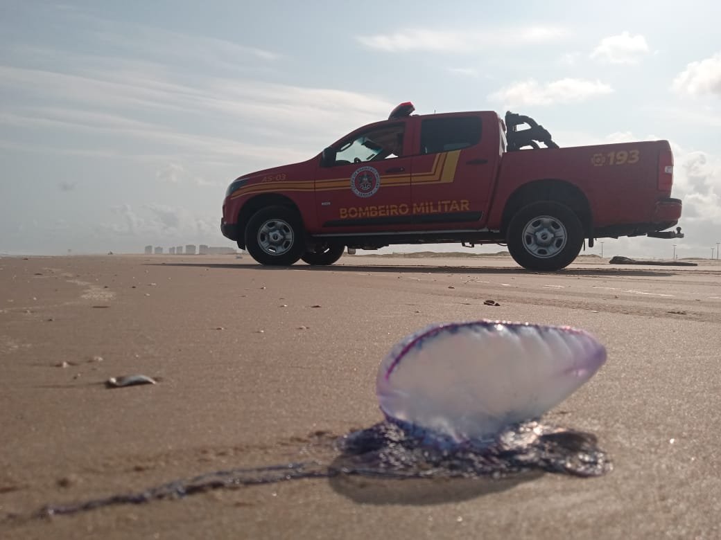 CORPO DE BOMBEIROS ATENDEU 44 VÍTIMAS DE ACIDENTES COM CARAVELAS NESTE FIM DE SEMANA NAS PRAIAS DE ARACAJU