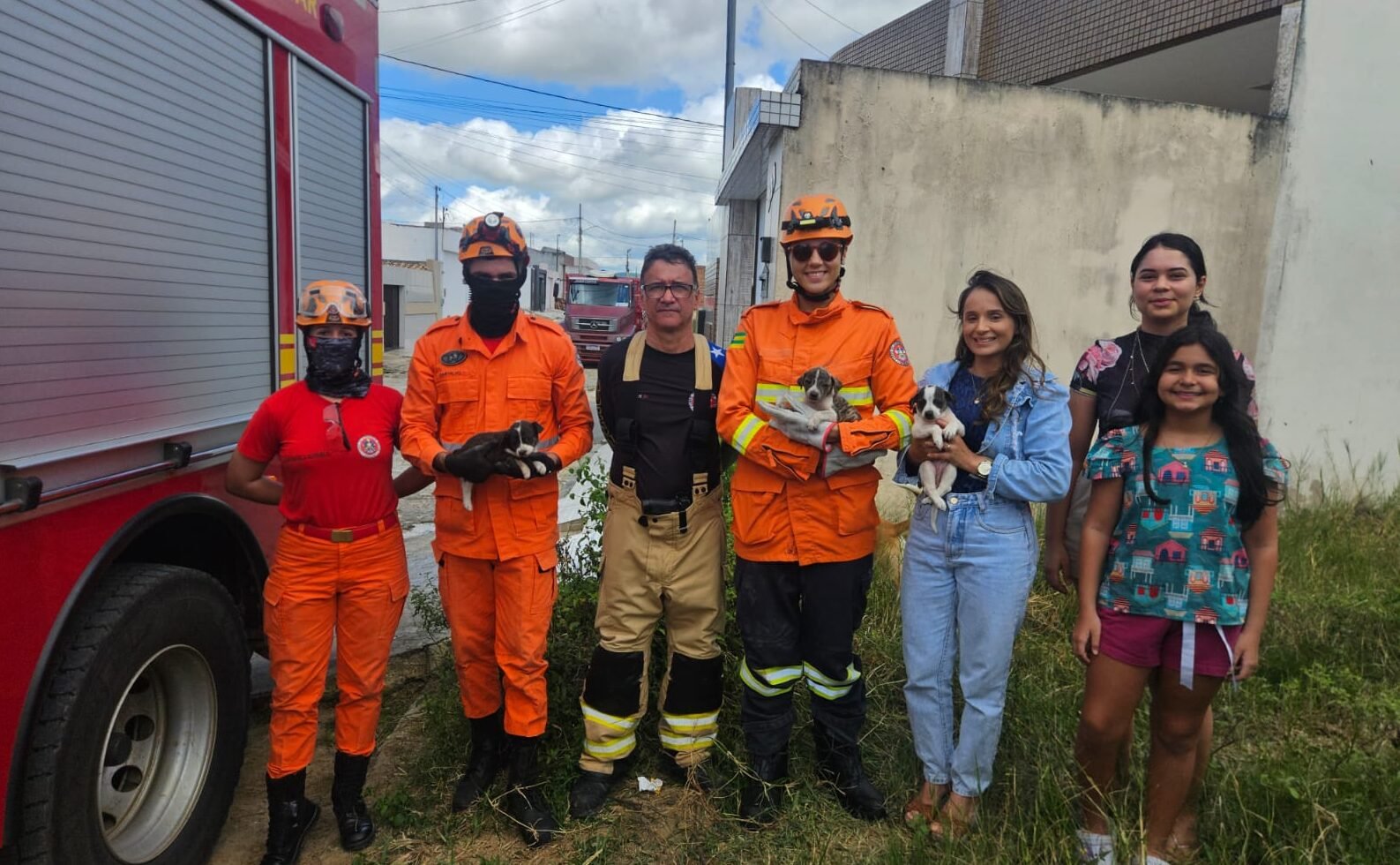 Bombeiros resgatam três filhotes de cachorro presos entre paredes