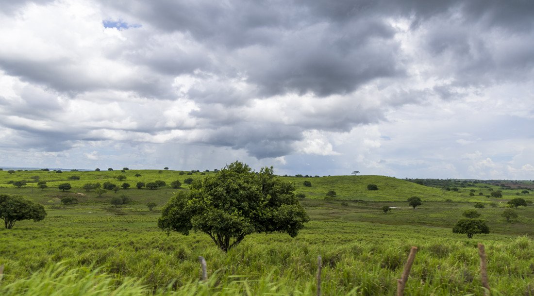 PREVISÃO INDICA A SEMANA COM A PREDOMÍNIO DE CÉU PARCIALMENTE NUBLADO E DE CHUVA FRACA E LEVE