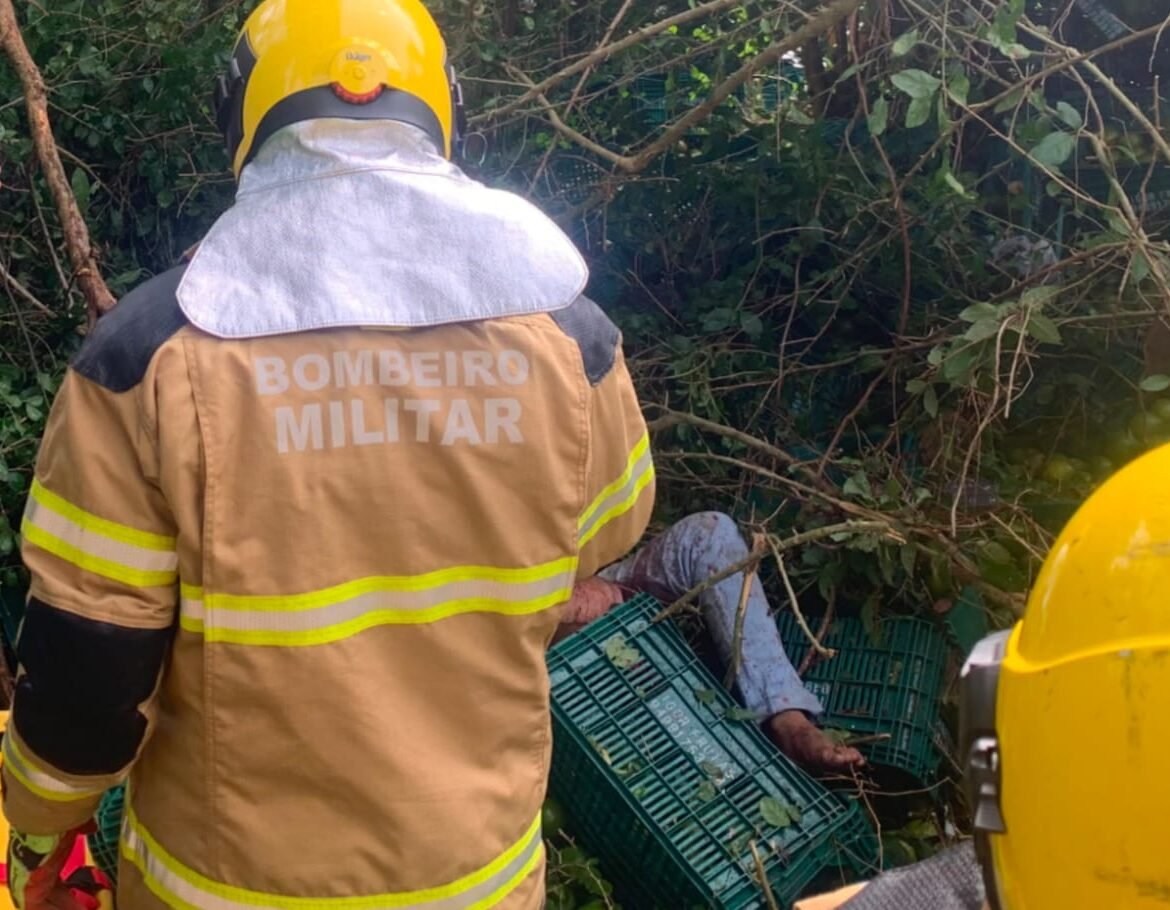 Caminhão carregado com laranja cai em ribanceira e deixa motorista ferido  entre Simão Dias e Pinhão