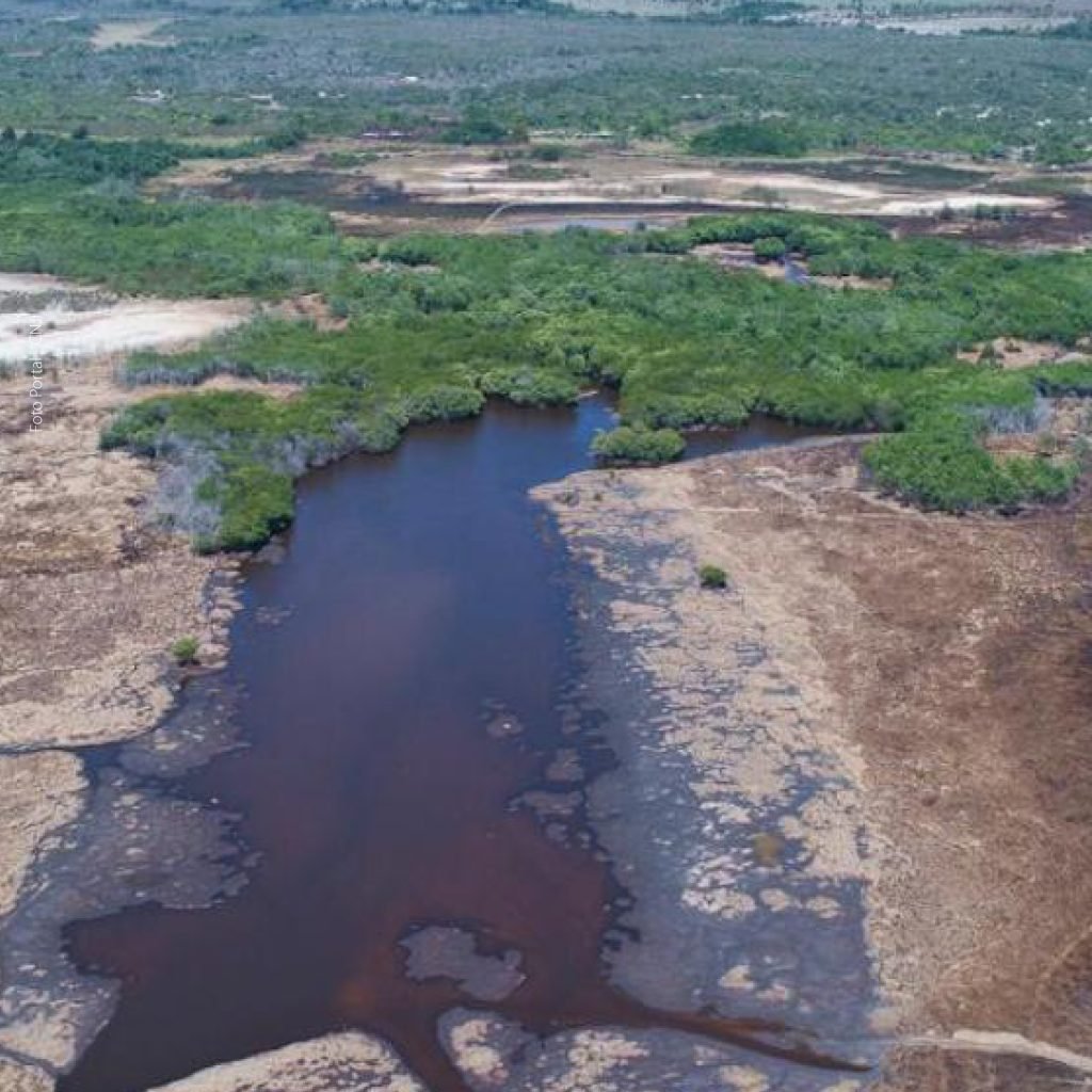 Poder Judiciário determina o cumprimento integral do Plano de Manejo do Parque Estadual Marituba