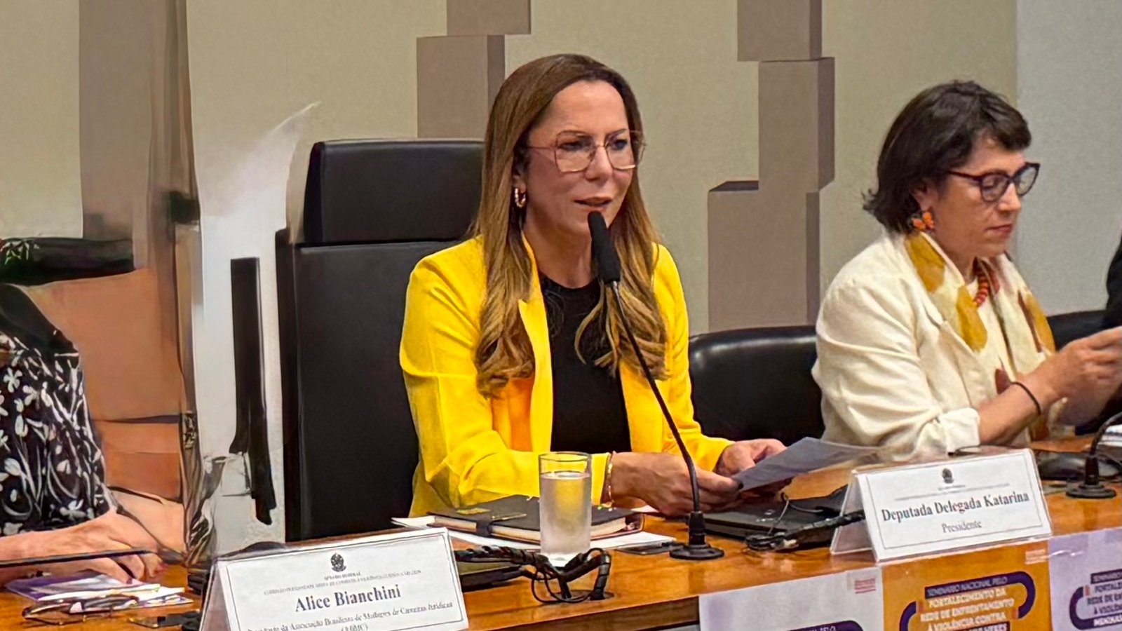 Delegada Katarina quer integrar comissão para defender produtores atingidos pela seca