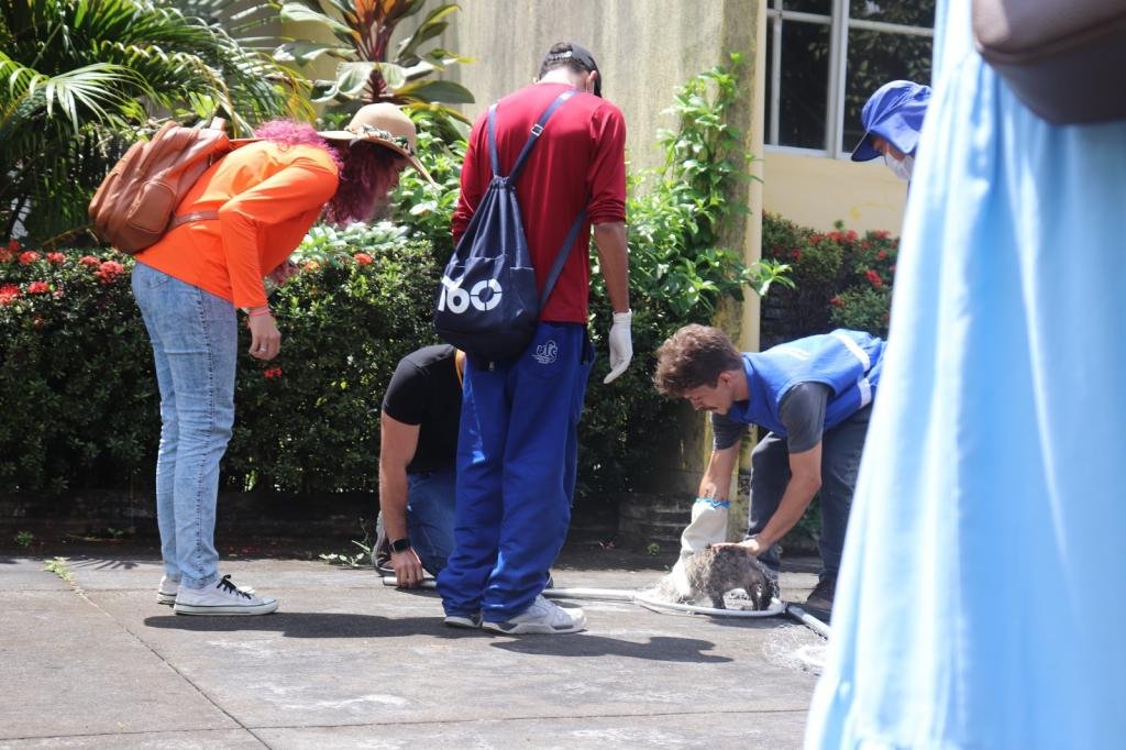 PMA planeja ação para controle populacional de felinos no Cemitério São João Batista