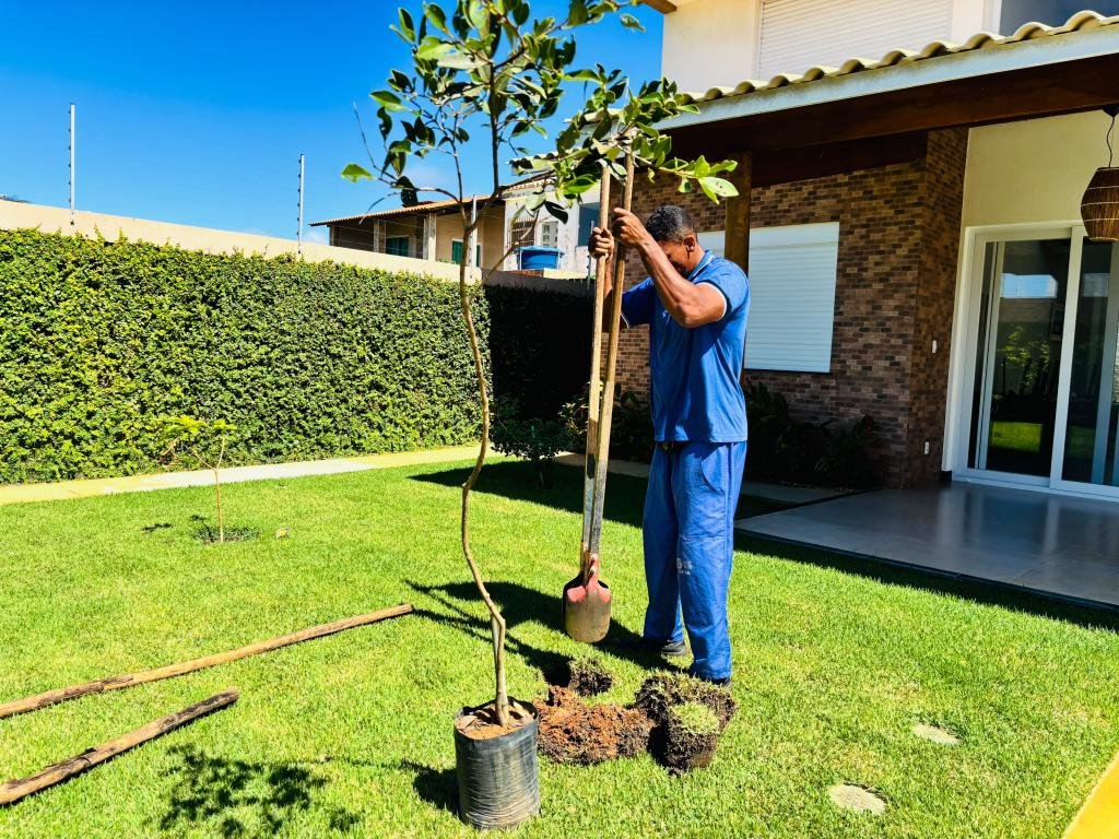 Projeto Calçada Viva: Prefeitura de Aracaju amplia arborização no bairro Aruana