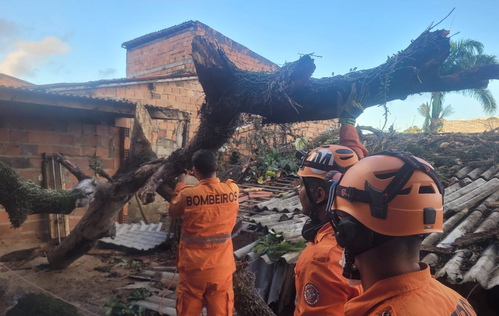 BOMBEIROS PASSAM A MADRUGADA RETIRANDO MANGUEIRA ANTIGA QUE CAIU SOBRE UMA RESIDÊNCIA EM ARACAJU