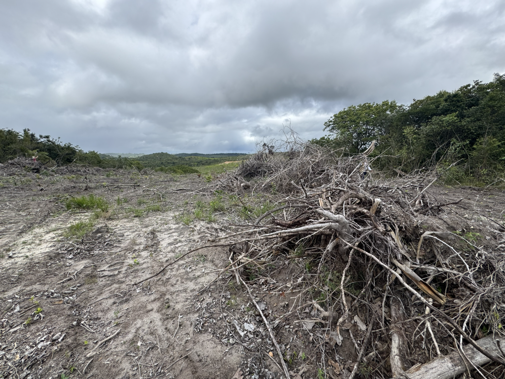 OPERAÇÃO MATA ATLÂNTICA EM PÉ 2026 AUTUA MAIS DE 10 HECTARES DE DESMATAMENTO ILEGAL NO ESTADO DE SERGIPE