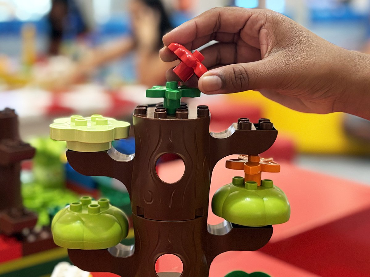 Especialistas destacam os benefícios de brincar com blocos de montar