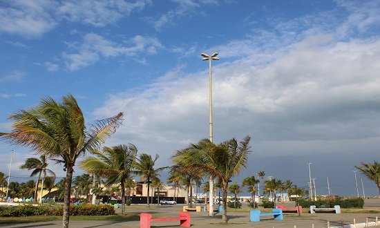 Iluminação pública e poda de árvores: entenda de quem é a responsabilidade