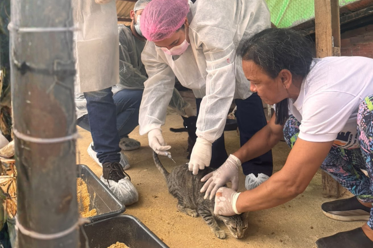 Parceria apoiada pelo MPF leva assistência veterinária a animais acolhidos  em São Cristóvão