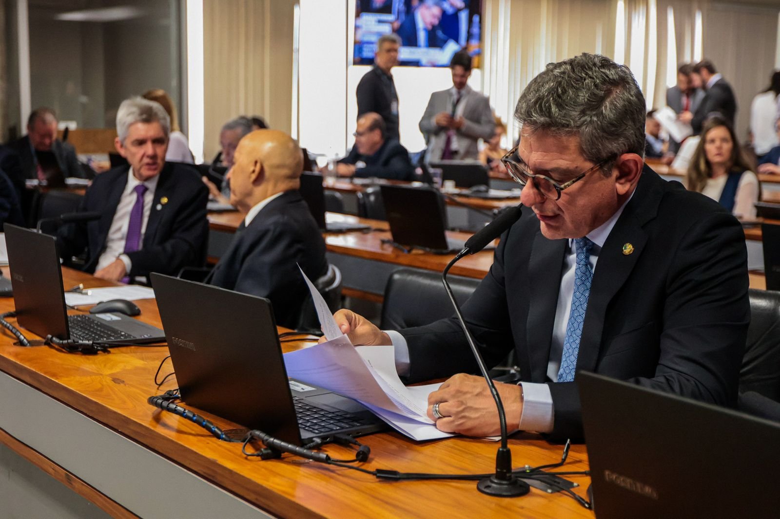 CMA DO SENADO APROVA RELATÓRIO DE ROGÉRIO  PARA CRIAÇÃO DE CANAL NACIONAL CONTRA MAUS-TRATOS A ANIMAIS