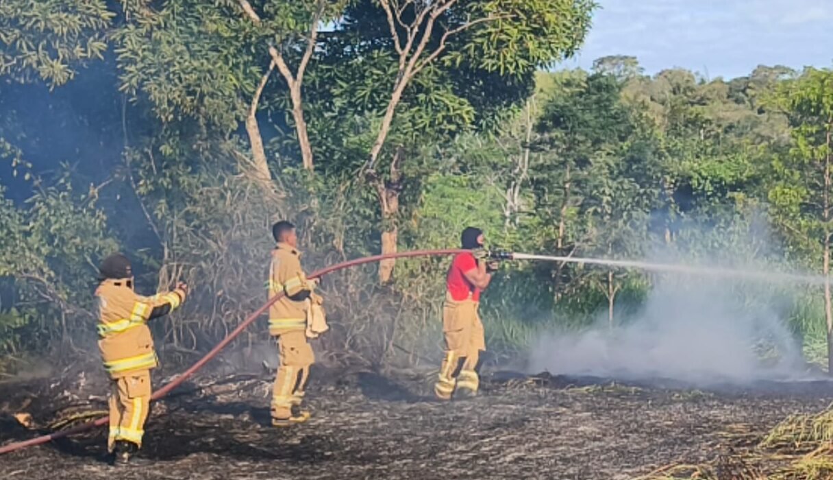 AÇÃO RÁPIDA DO CORPO DE BOMBEIROS IMPEDE QUE INCÊNDIO EM VEGETAÇÃO ATINJA RESIDÊNCIA EM LARANJEIRAS