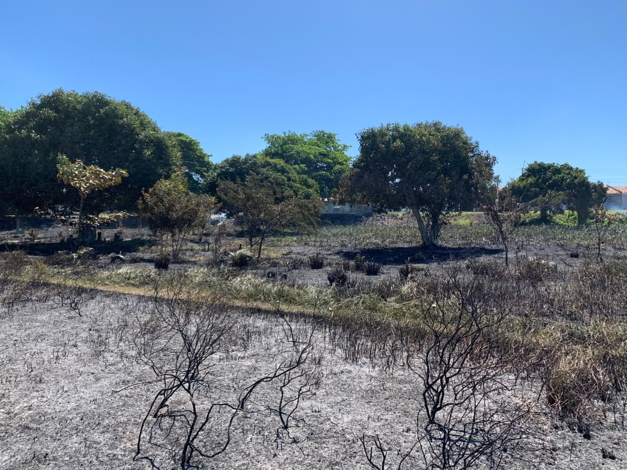 CBM combate incêndio em vegetação provocado por queima de lixo em Socorro