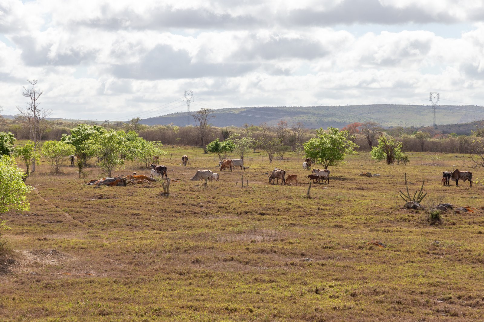 BOLETIM TÉCNICO DO EL NIÑO ATUALIZA CENÁRIO CLIMÁTICO E FACILITA ACESSO ÀS INFORMAÇÕES CLIMÁTICAS, EM SERGIPE