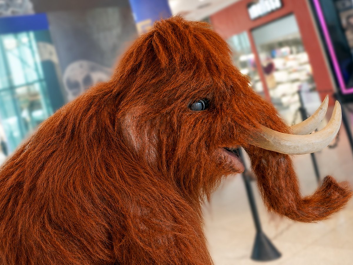 Shopping Jardins promove encontros inéditos com Mamute e Mamutinho fim de semana